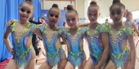 Наши гимнастки выступили на краевых соревнованиях - Газета В 24 часа
