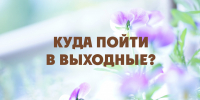 Куда пойти в выходные? - Газета В 24 часа