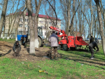 Пришло время субботников